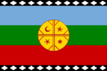 bandera-mapuche